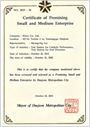 Promising SME certificate